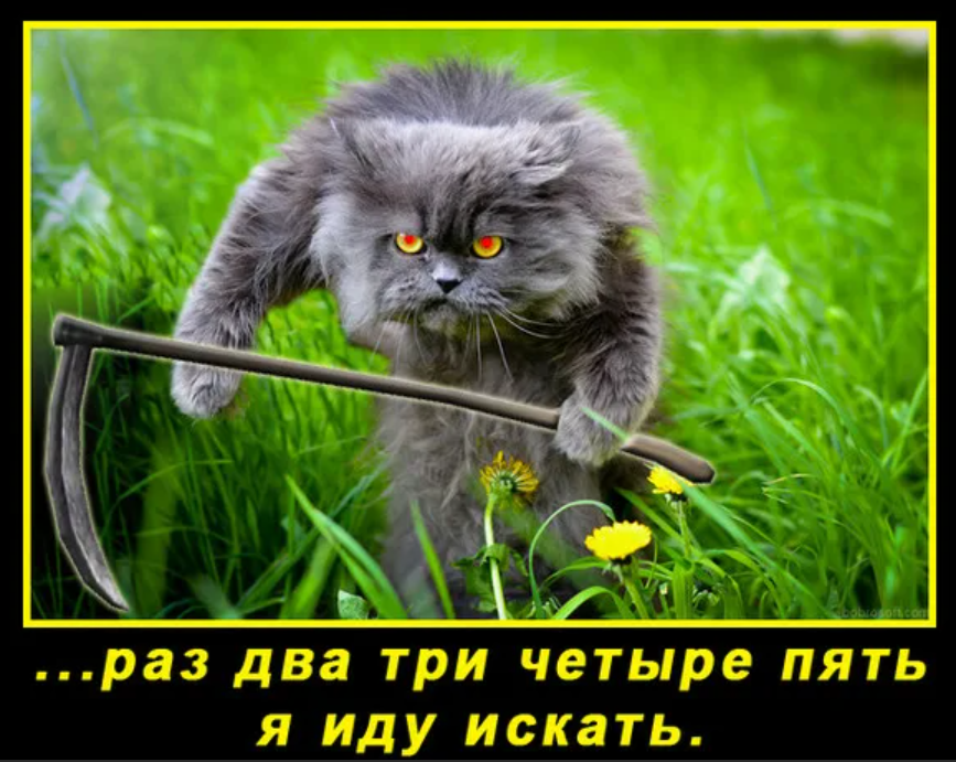 Злость смешные картинки. Злость картинки юмор. Я В гневе прикол. Гнев юмор.