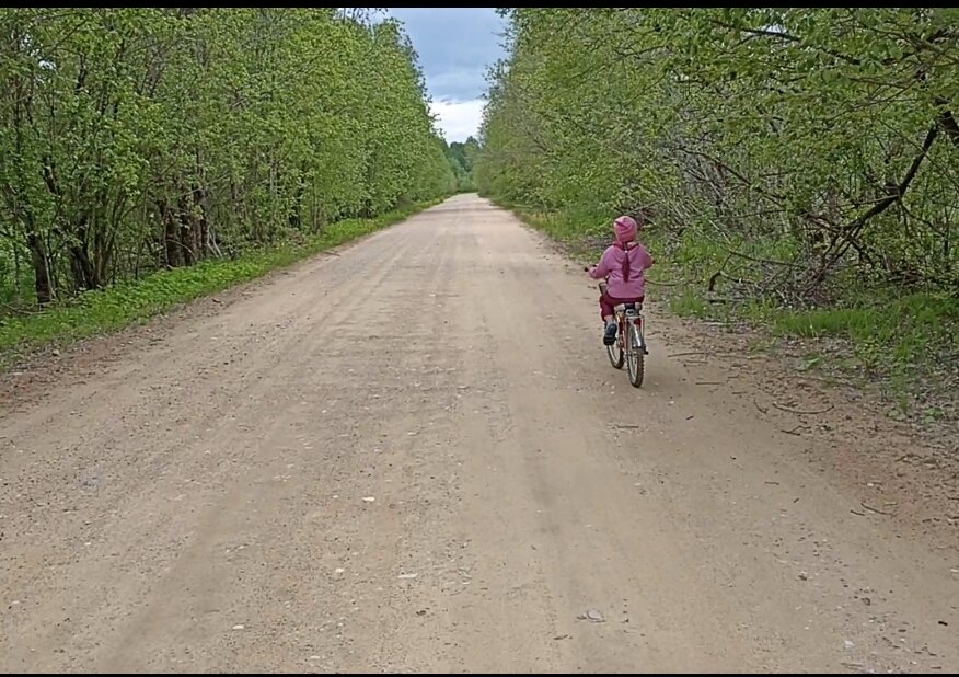 Дорога в деревню