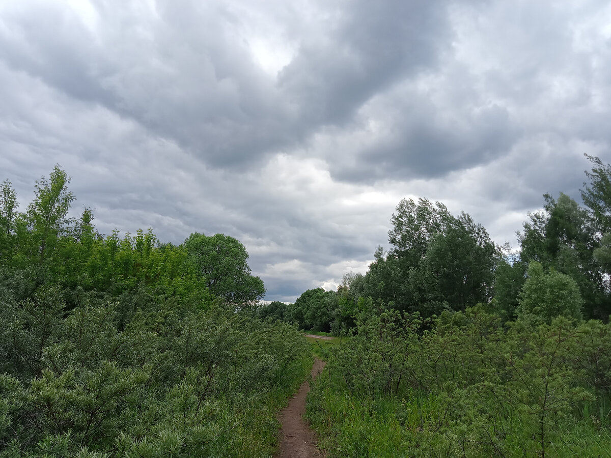 Кажется, дождик начинается