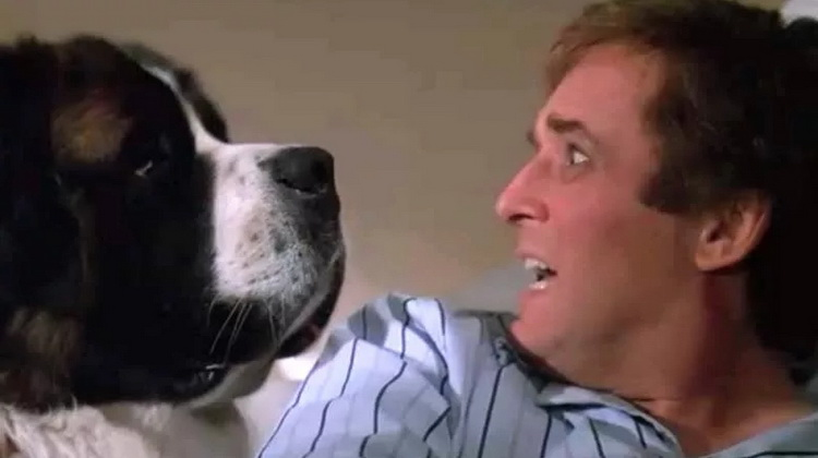 Бетховен и Джордж Ньютон (Чарлз Гродин), кадр из фильма "Бетховен" (1992)