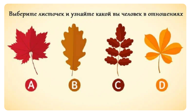 Изображение взято с открытых источников