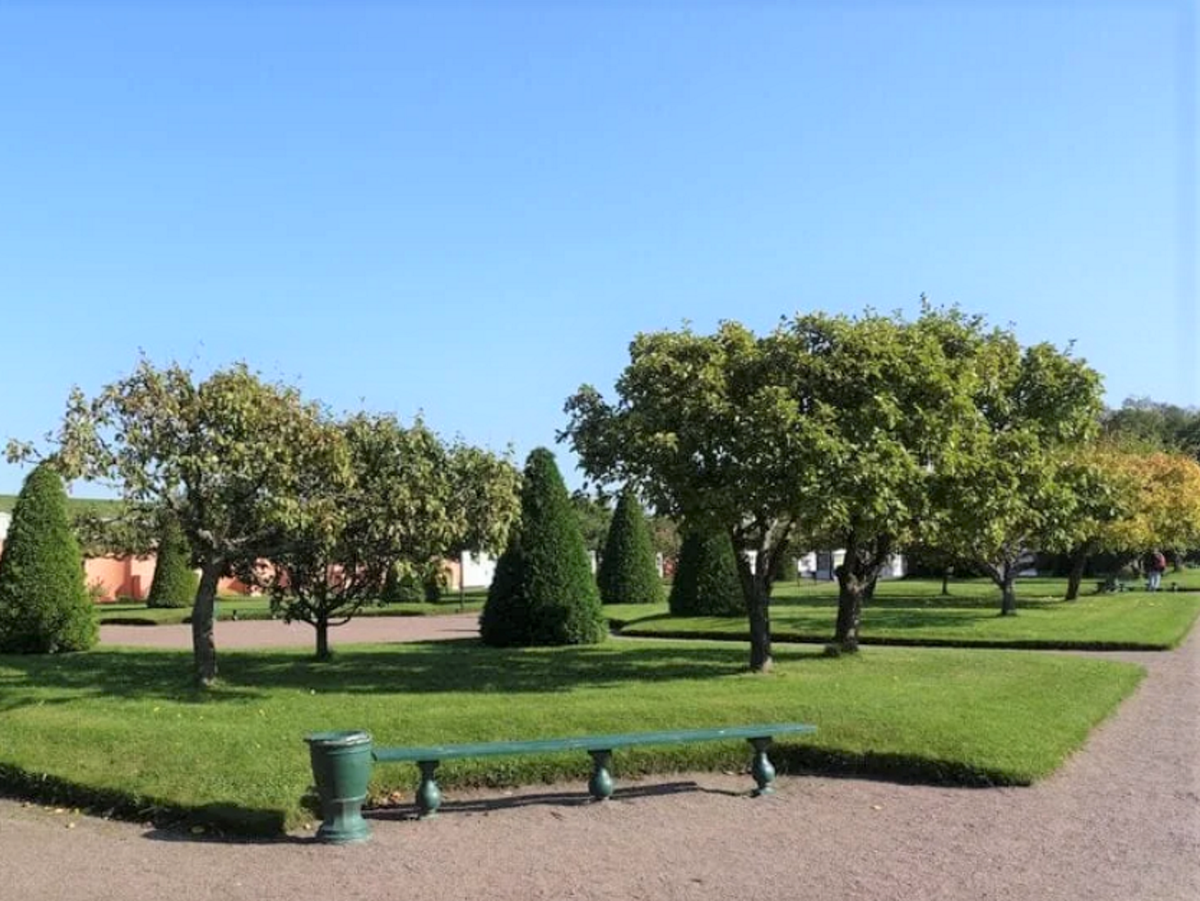 Яблони в саду Венеры.