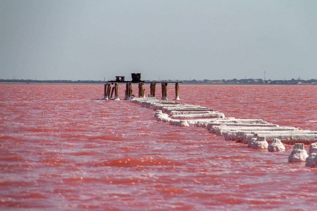 Выезжайте так, чтобы к полудню приехать на Розовое озеро. Именно в это время вода приобретает наиболее насыщенный удивительный оттенок, которой в зависимости от времени года может быть ярко красный или даже фиолетовый