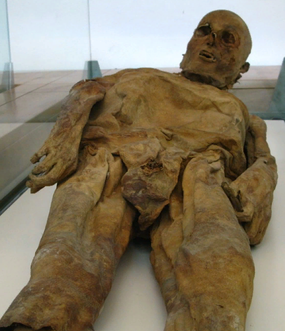 Мумия была найдена в часовне римского кладбища рядом с собором Сант-Андреа-Апостоло в Венцоне.