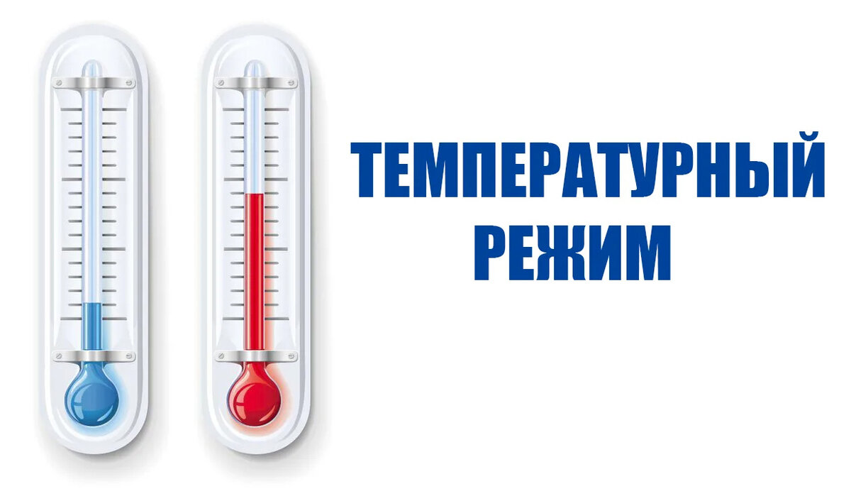 Фото с Яндекс Картинки
