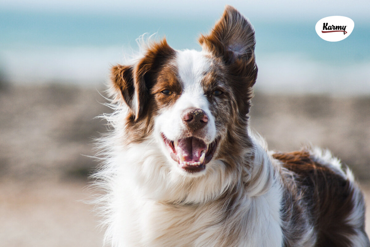 Авторское изображение с использованием картинки с фотостока "Unsplash" 