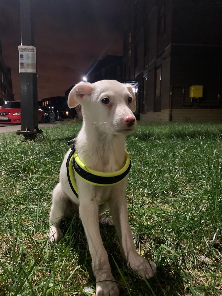 Первые прогулки