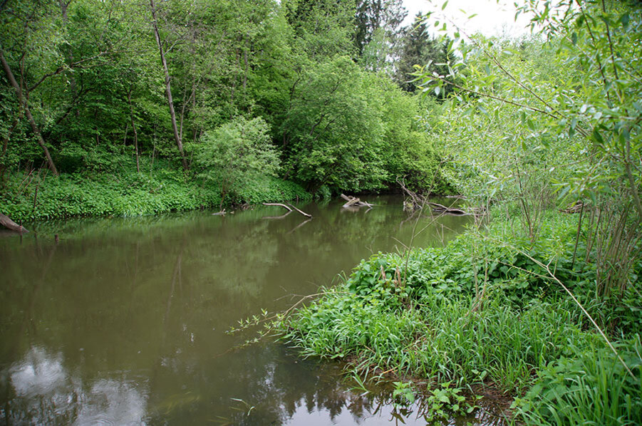 Река Незнайка, протекающая в поселке Марьино