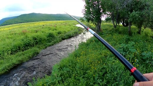 Рыбалка в поле, на ручье. Ловля крупного хариуса и ленка на удочку и спиннинг!