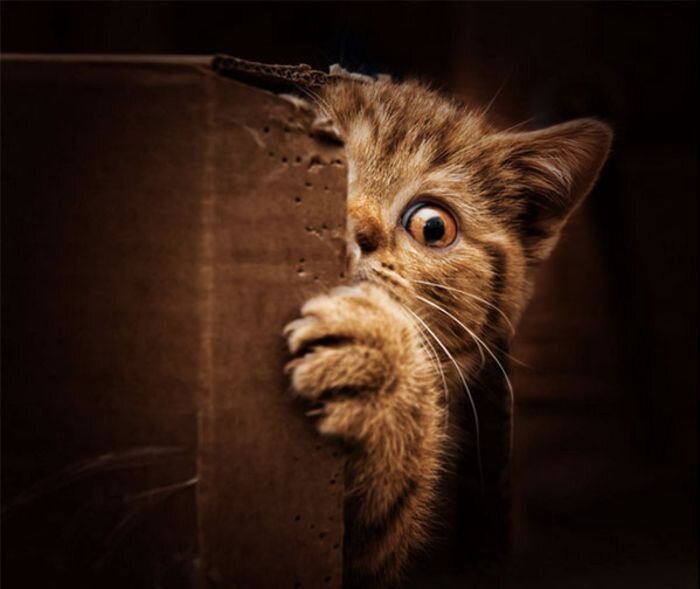 Слишком шумно