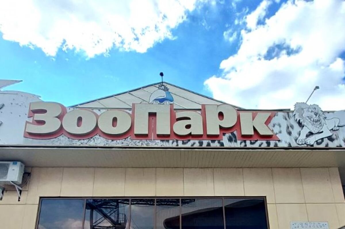    Зажигалка и медвежий обед. Челябинский зоопарк показал заметки из 1996 года