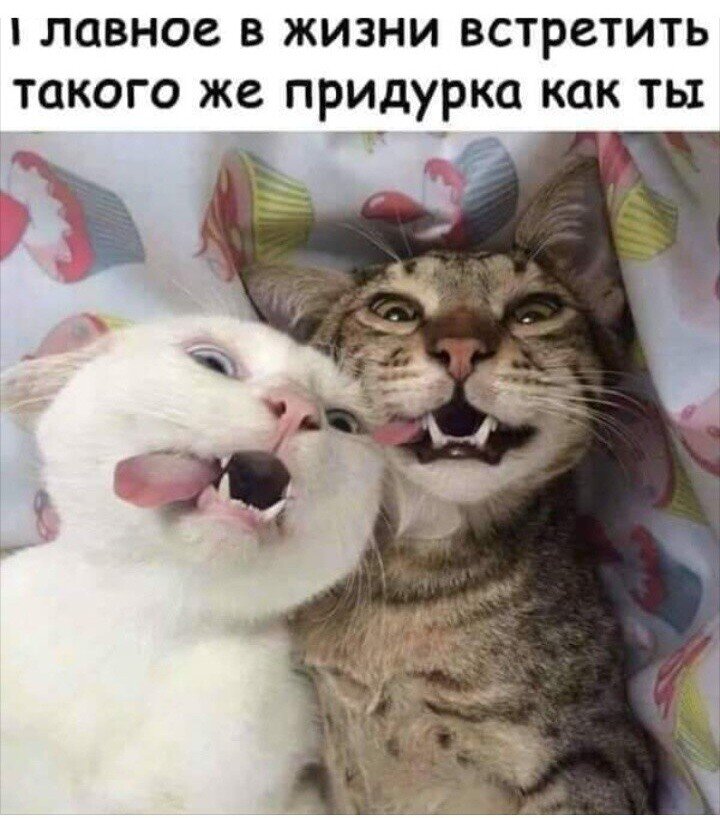 Главное встретить такого же придурка, как ты