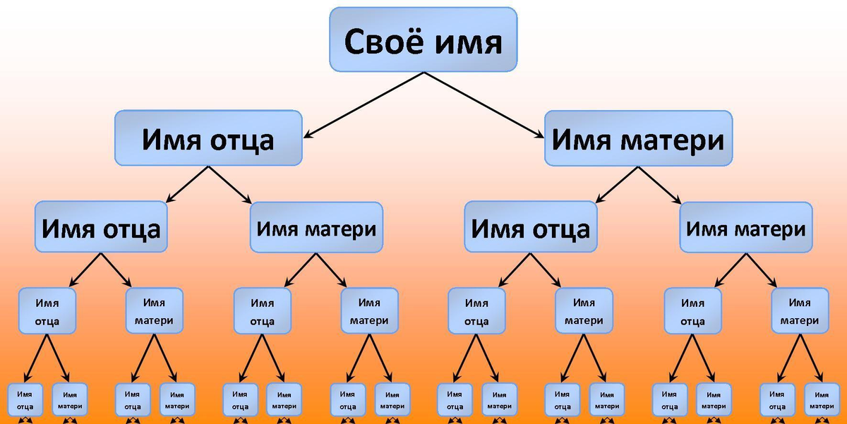 Колено родства схема