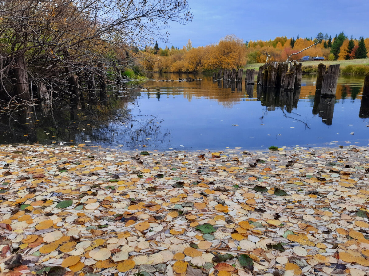 На Параськиных озерах. Ухта, Республика Коми