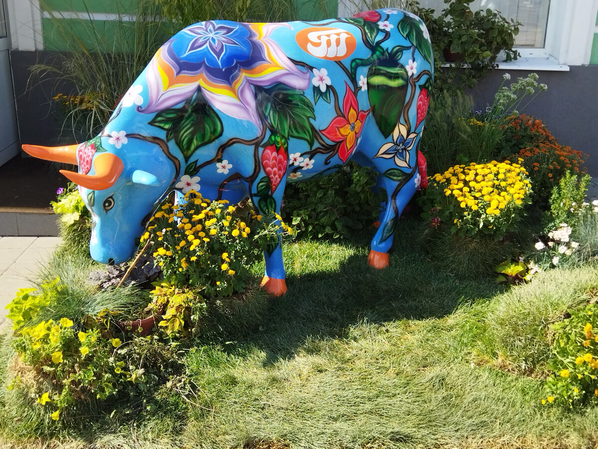 Фото автора