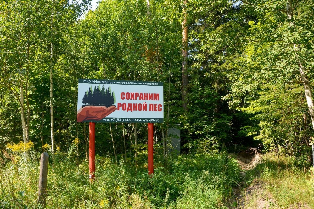    Ранее сообщалось, что данный режим продлится до 19 сентября Анастасия Красушкина