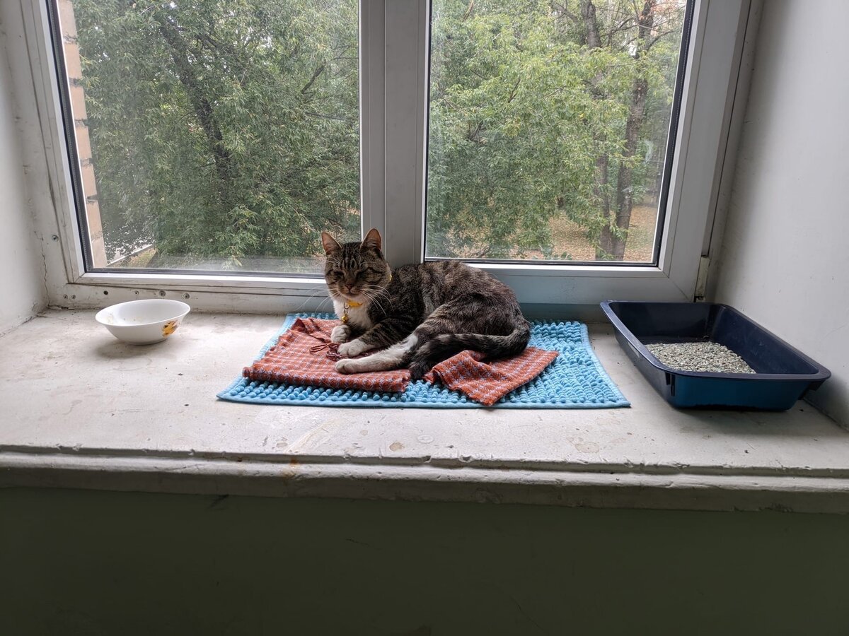 Вот здесь его нашли... 