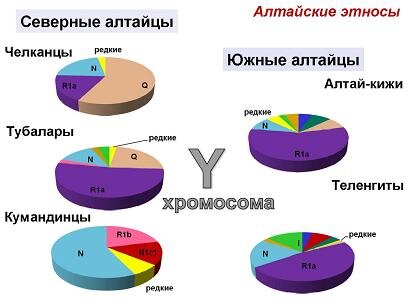 Как видим, кумандинцы генетически среди коренного населения Алтая сильно отличаются