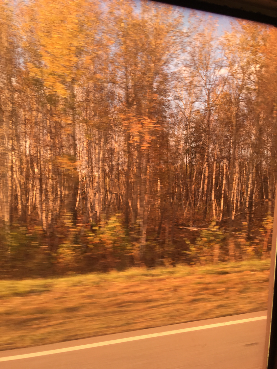 Фото из окна