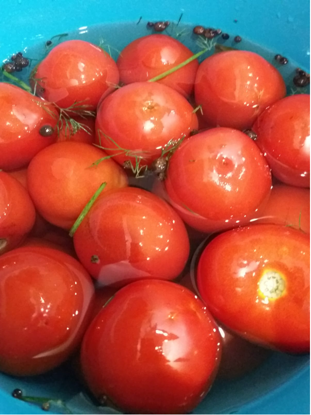 Настоящие соленые помидоры(как из бочки) в банках : Помидоры