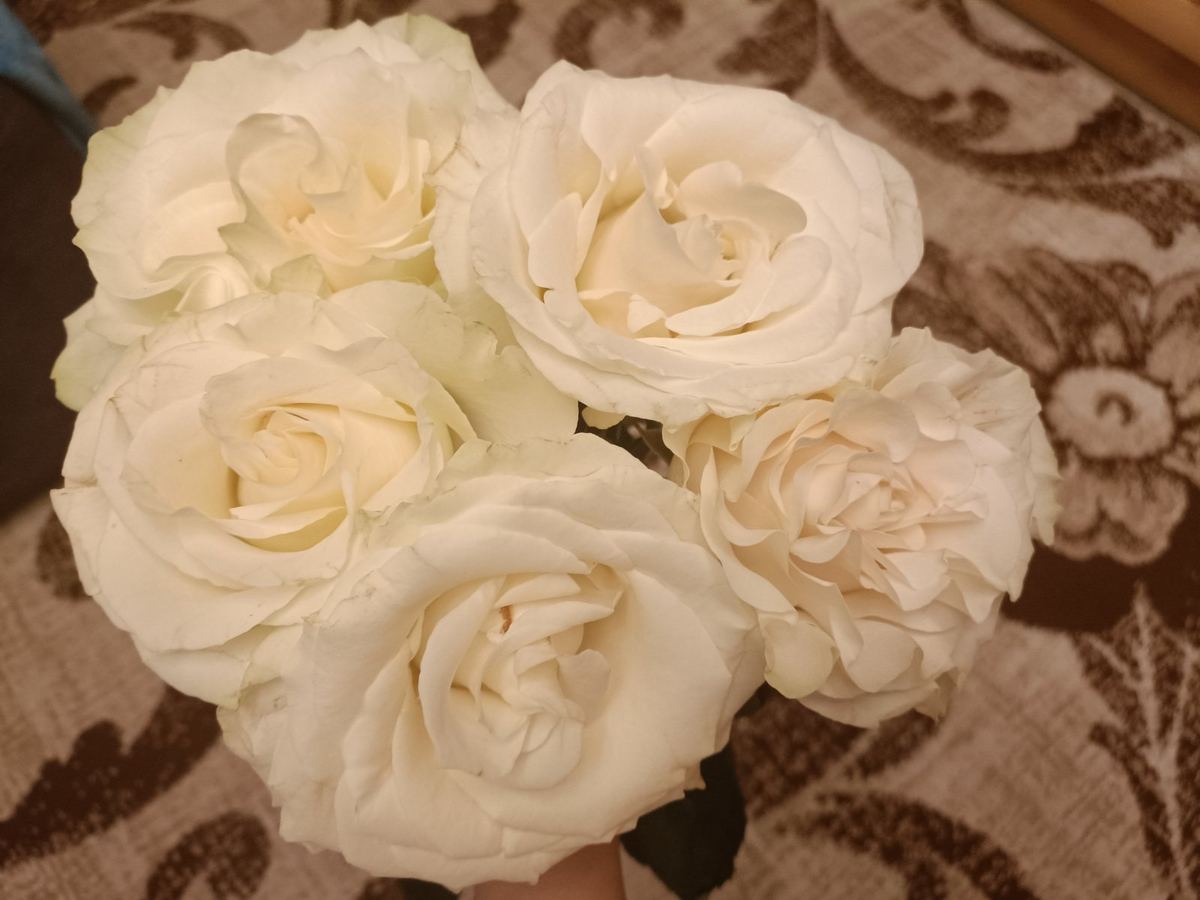 А с этими розами муж пришёл сегодня. С них-то всё и началось))