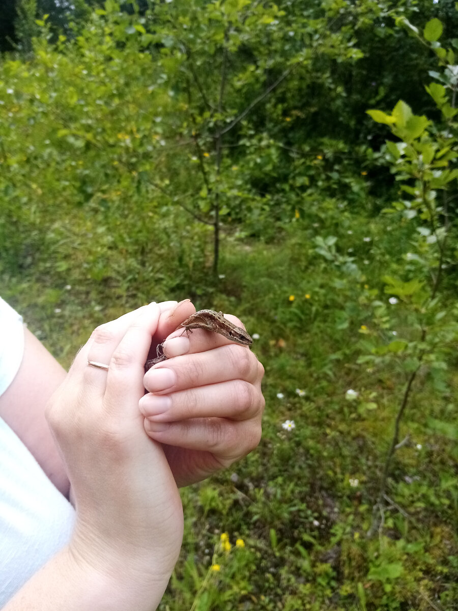 маленькая Хозяйка Медной Горы.