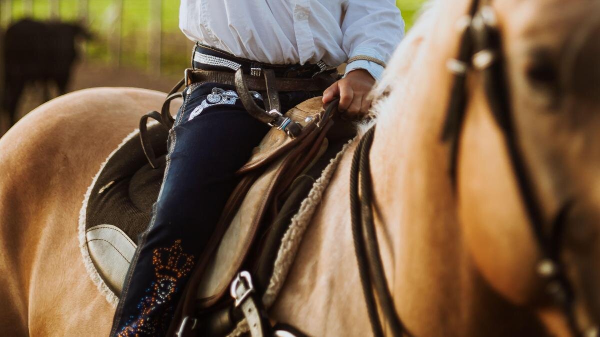    Ребенок на лошади:pexels.com