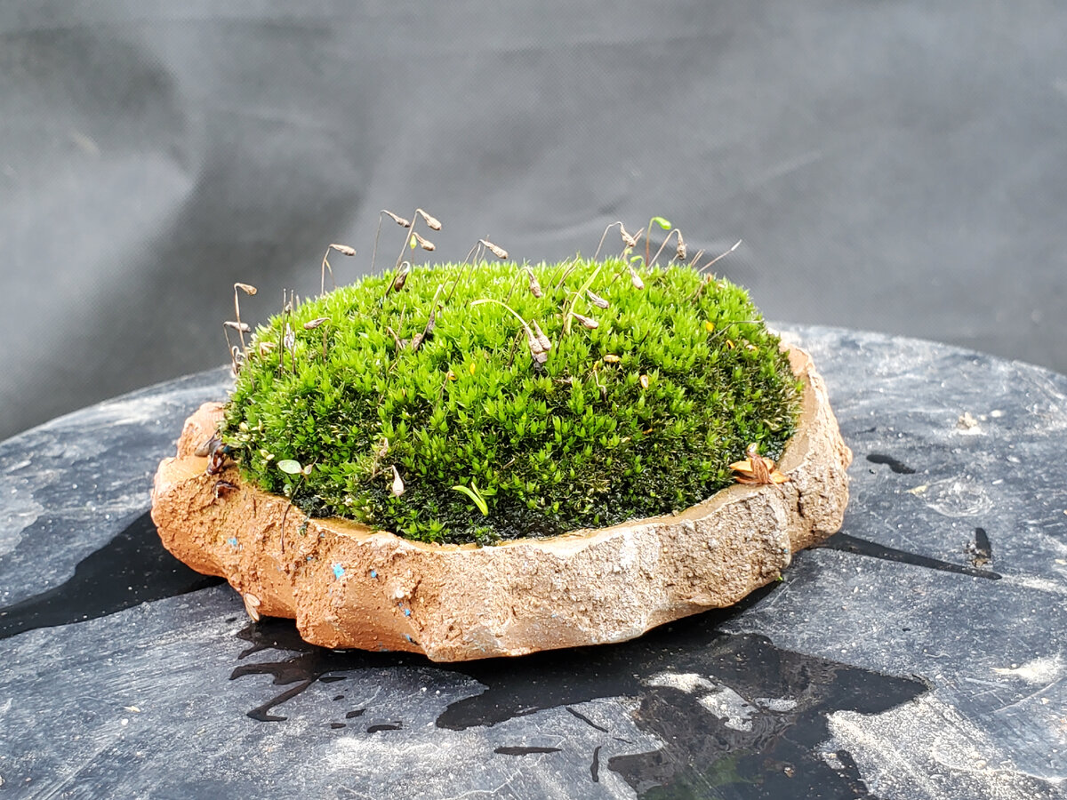 Самое, первое его фото