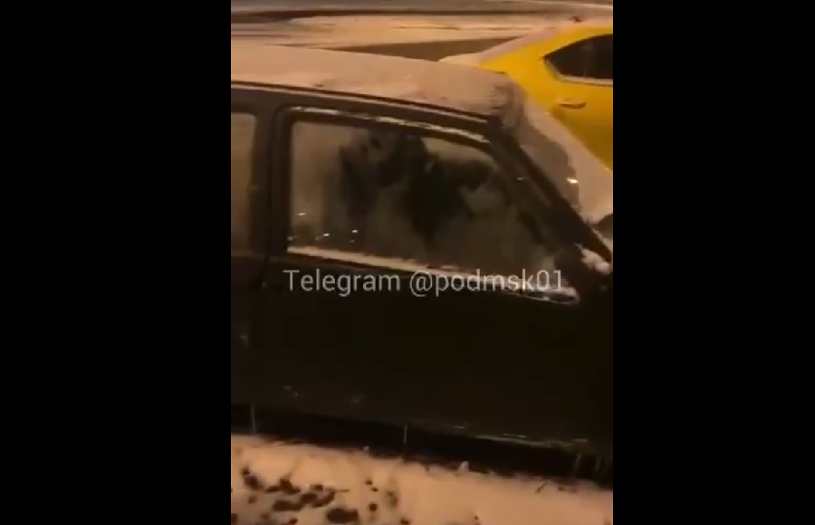    Скриншот видео