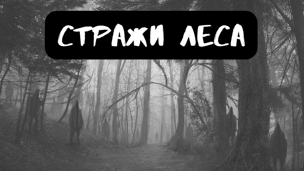 Стражи леса | Страшилки от Чеширки | Дзен