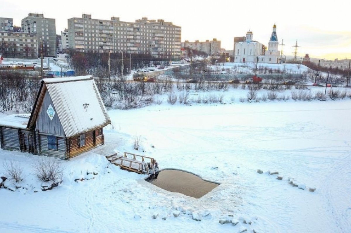 В Мурманске построят новый домик моржей | АиФ-Мурманск | Дзен