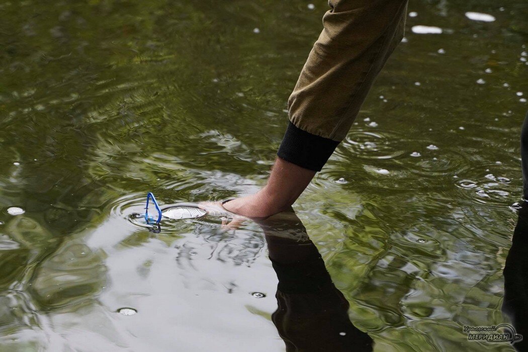    Фото: Лидия Аникина © ИА «Уральский меридиан» Александр Аникин