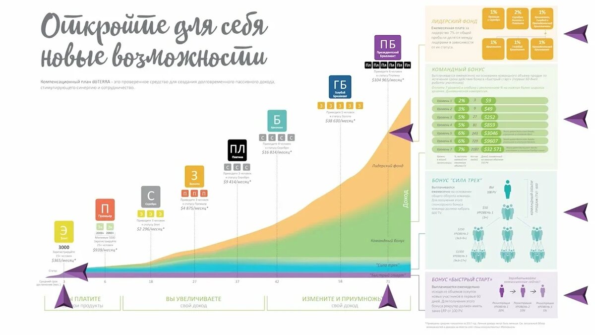 Бизнес проект status