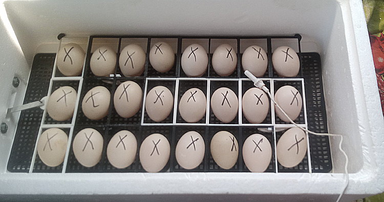 А вот - эта решетка в работе,часть из черного пластика, часть из белого