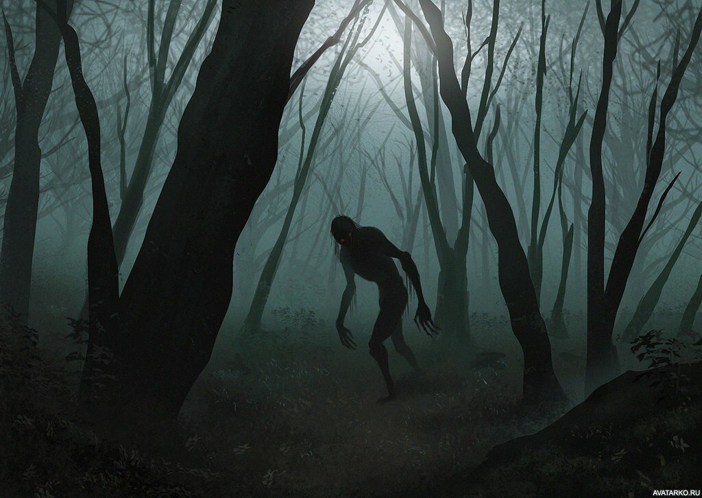 Фото из открытых источников.