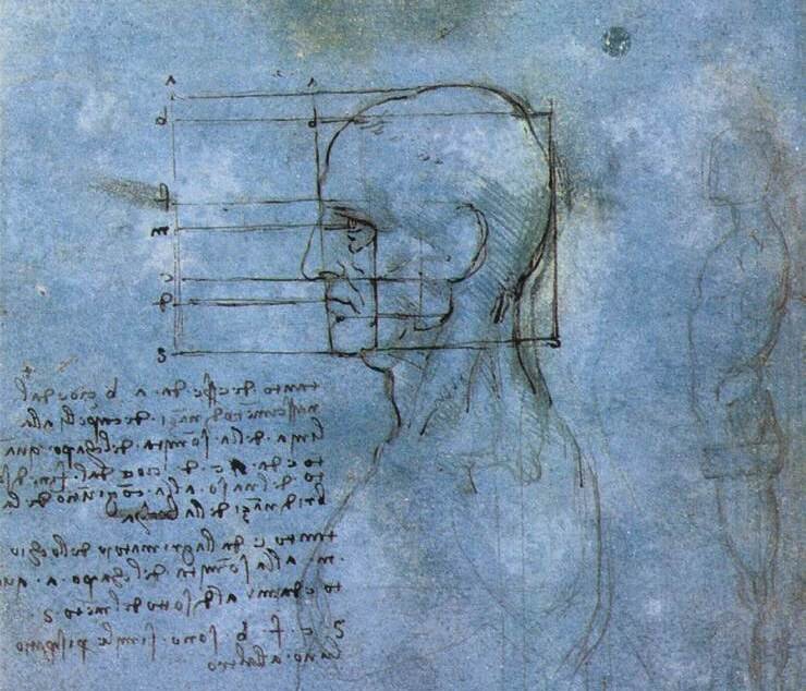  Пропорции головы, Леонардо да Винчи, 1490-е