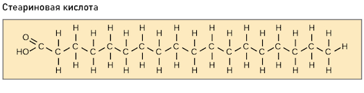 Насыщенная жирная кислота (двойные связи отсутствуют)