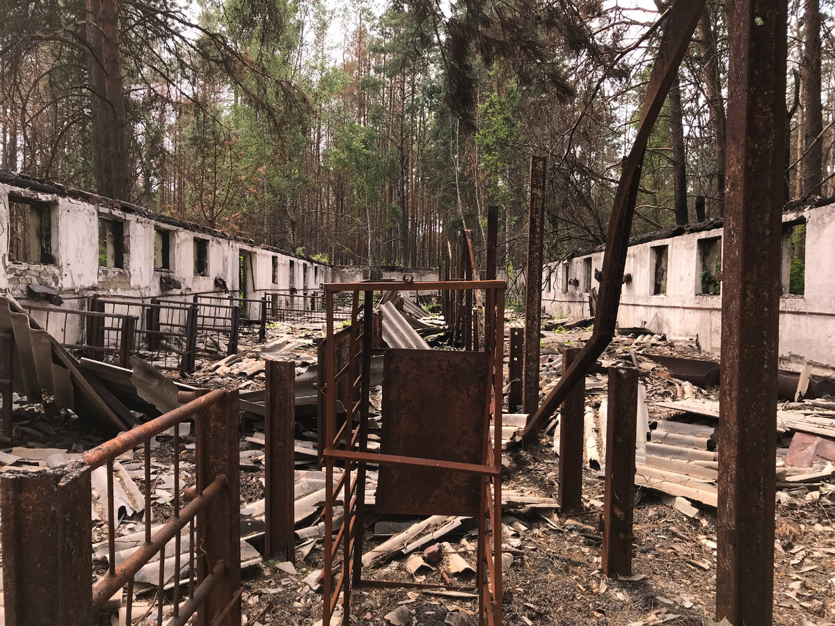 Возвращение в зону внз круг. ВНЗ круг сталкер. ВНЗ круг в реальности. ВНЗ круг. Затон ВНЗ круг от 1 лица.