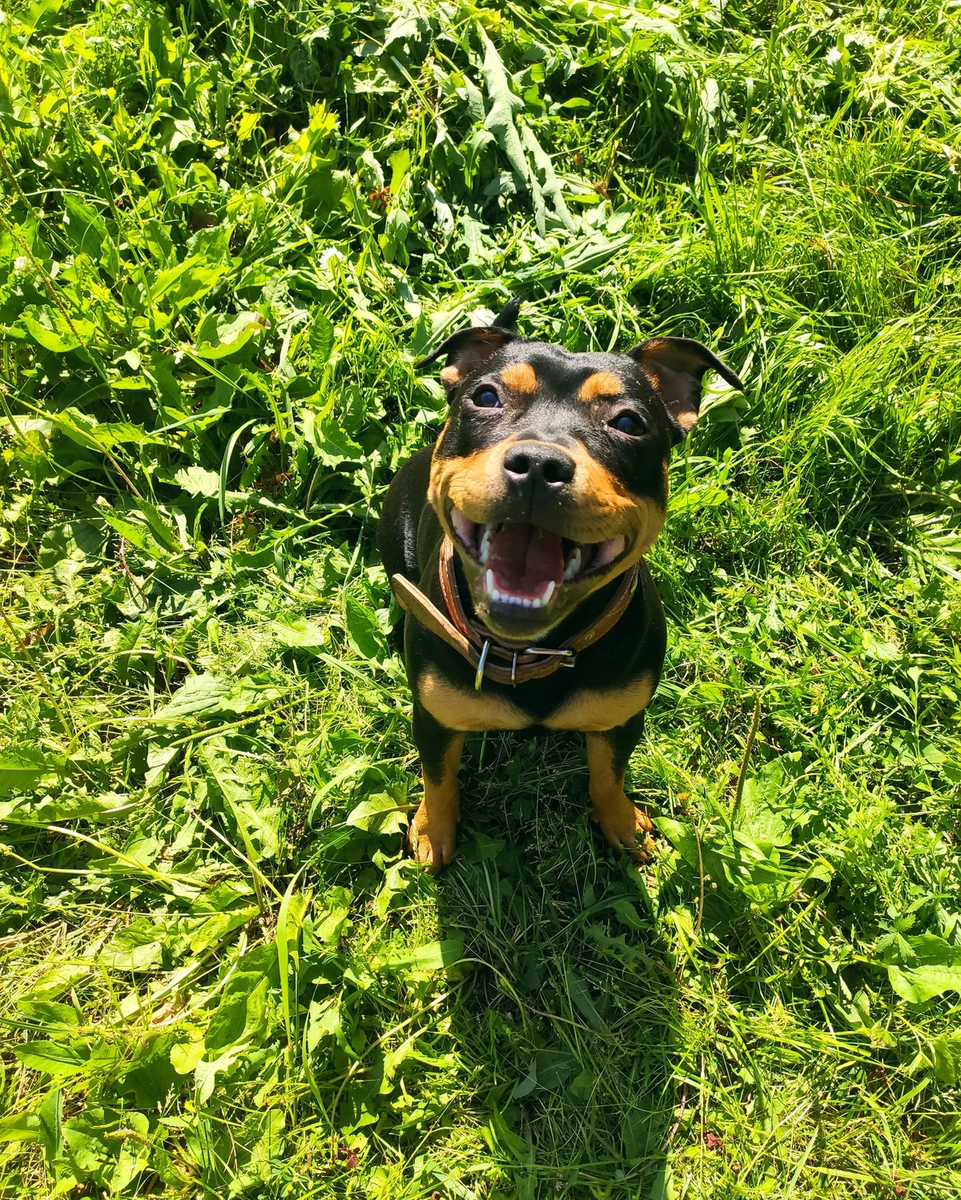 Листать туда =>