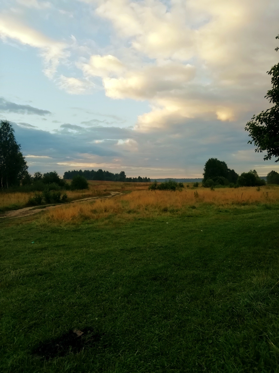 Дорога к реке