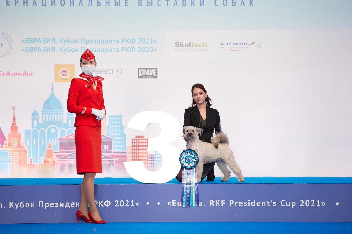 ARKOSLIGETI KOCOS SZEMERMETES — Пуми 