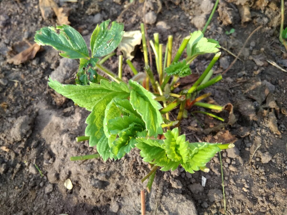 Личное фото.