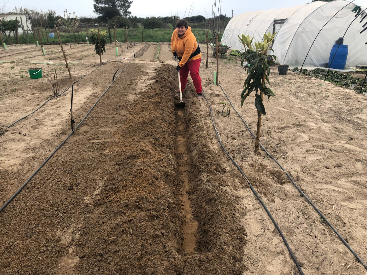 Копка траншеи под грядку