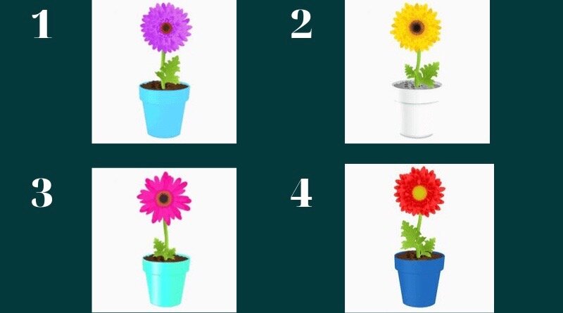 Тест выбор цветов. Тест выбери цветочек. Тест выбери цветок и узнай свой характер. Тест выберите цветок который вам понравился.