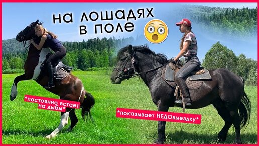 Чуть не СКИНУЛА ЛОШАДЬ В ПОЛЕ !? / ВЛОГ с Майзаса