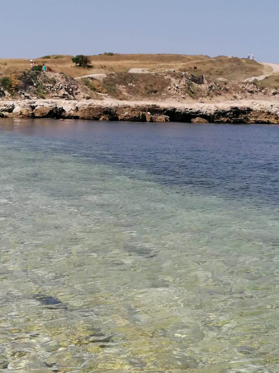 Фото 2021 года, июль