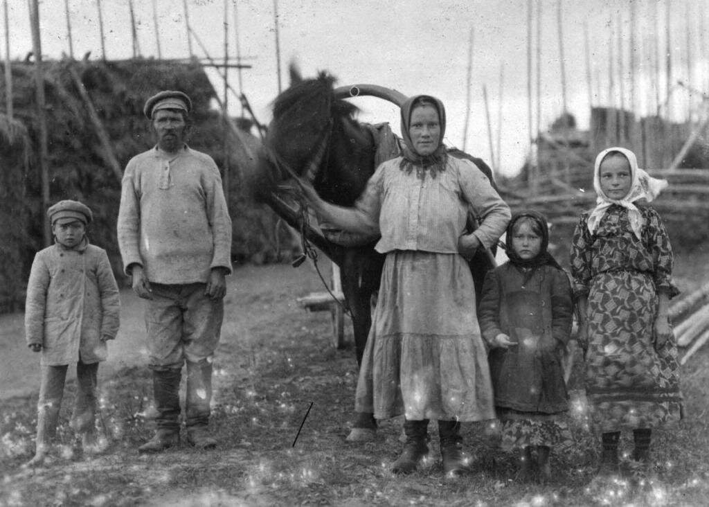 это фотография из интернета, к сожалению собственных нет