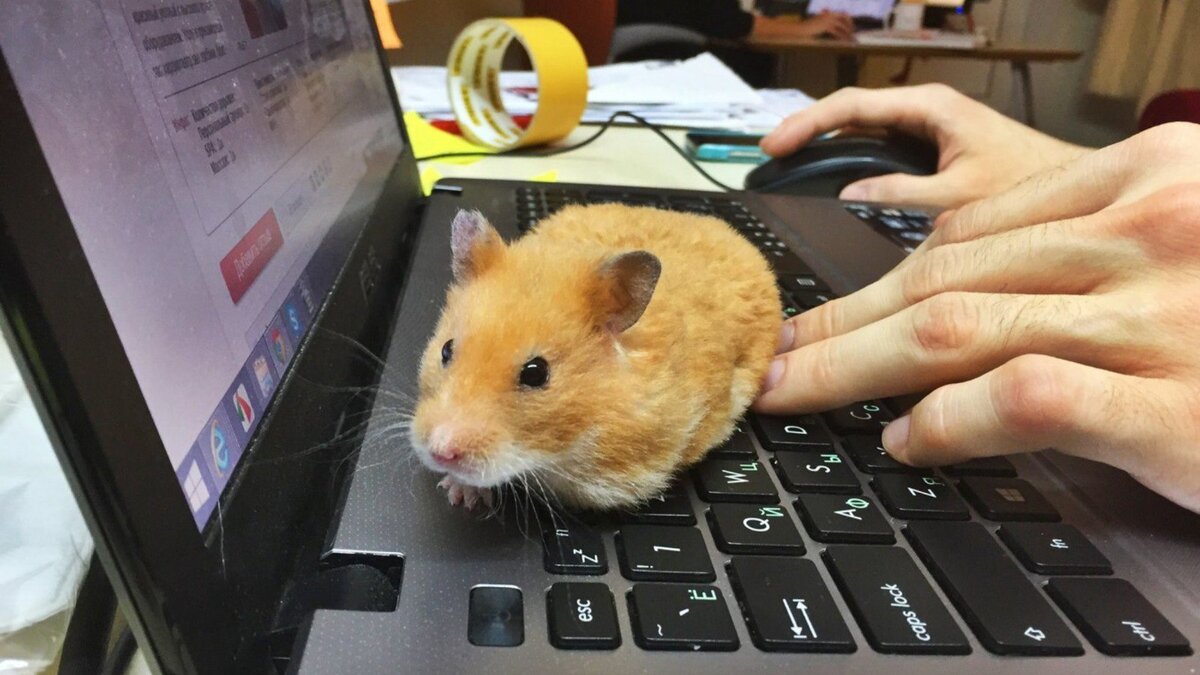 Новости криптовалют.