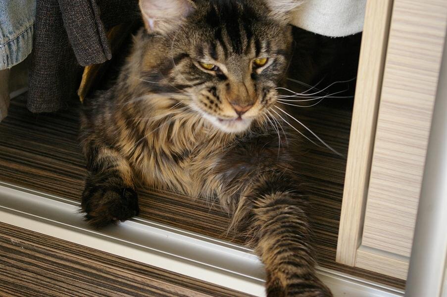 Шкаф0купе - любимое место для отдыха и сна