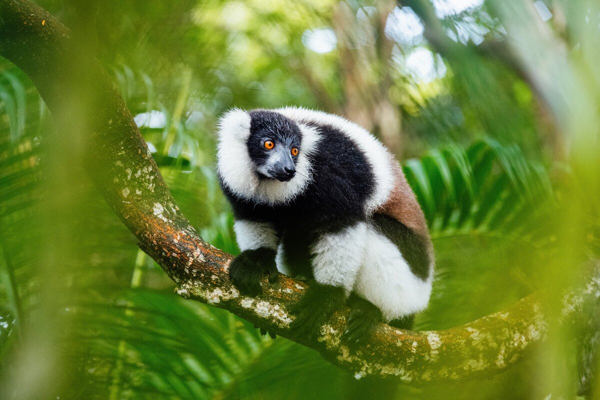 Фото взято из фотостока 